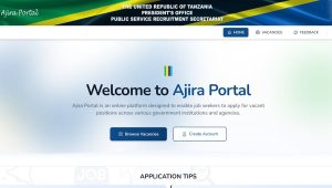 Best Places to Find Government Jobs in Tanzania