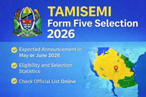 TAMISEMI Form Five Selection 2026: Expected Release Timeline and What to Know